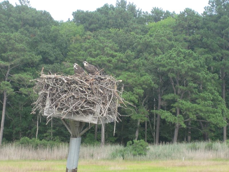James Farm Ecological Preserve