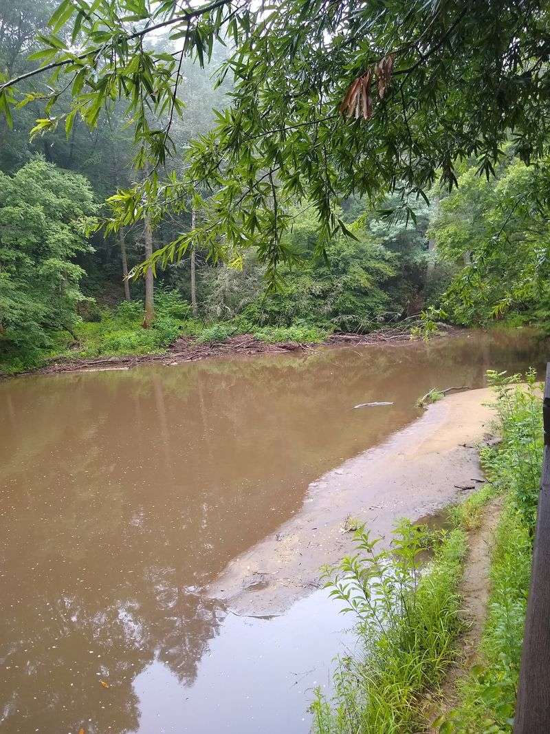 Why One River Stop Can Fill A Whole Weekend