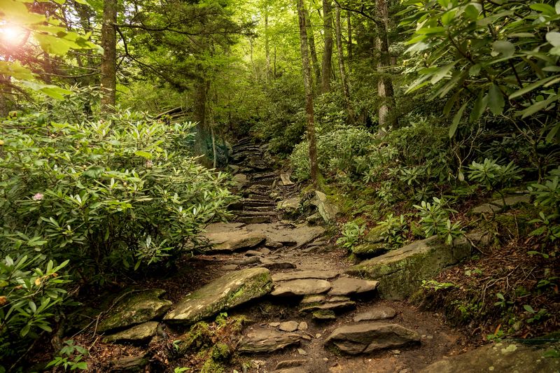 The Short Climb Starts Almost Immediately