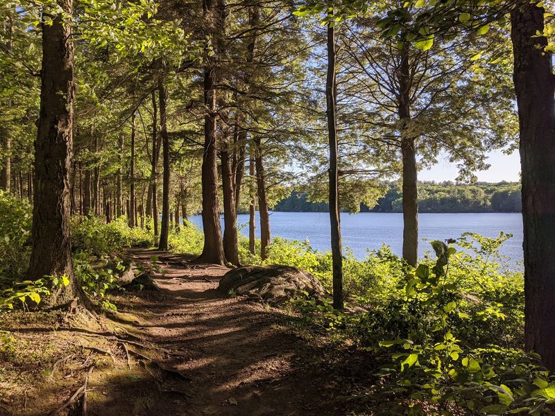 Follow the Walcott Trail Around the Water