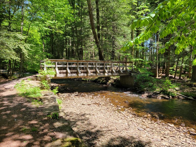 The Woods Make the Hike Feel Quiet and Grand
