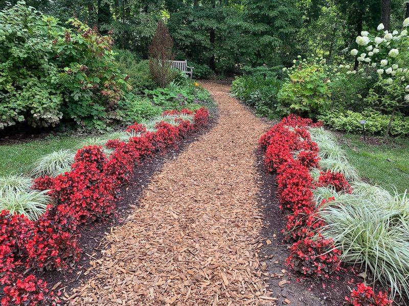 Edith J. Carrier Arboretum - Harrisonburg