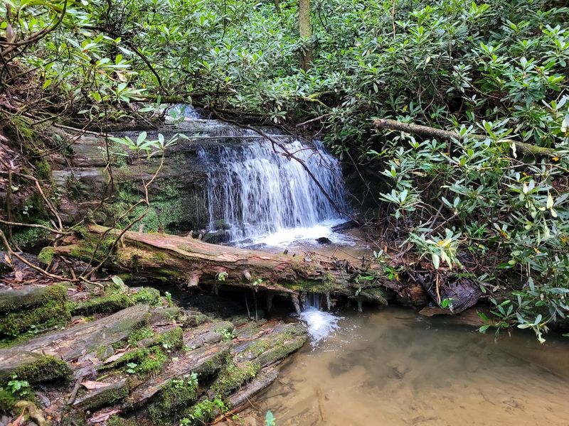 Spoonauger Falls, Long Creek, Oconee County