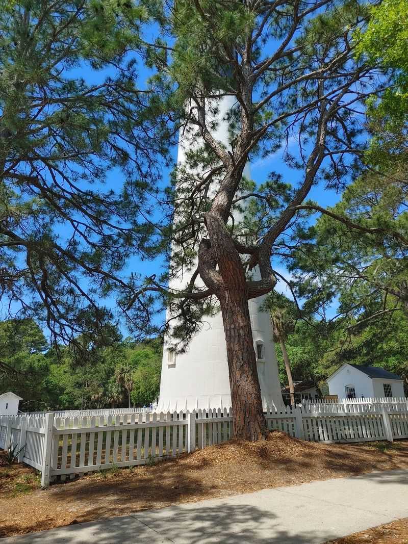 Hunting Island Lighthouse Trail, Hunting Island, Beaufort County