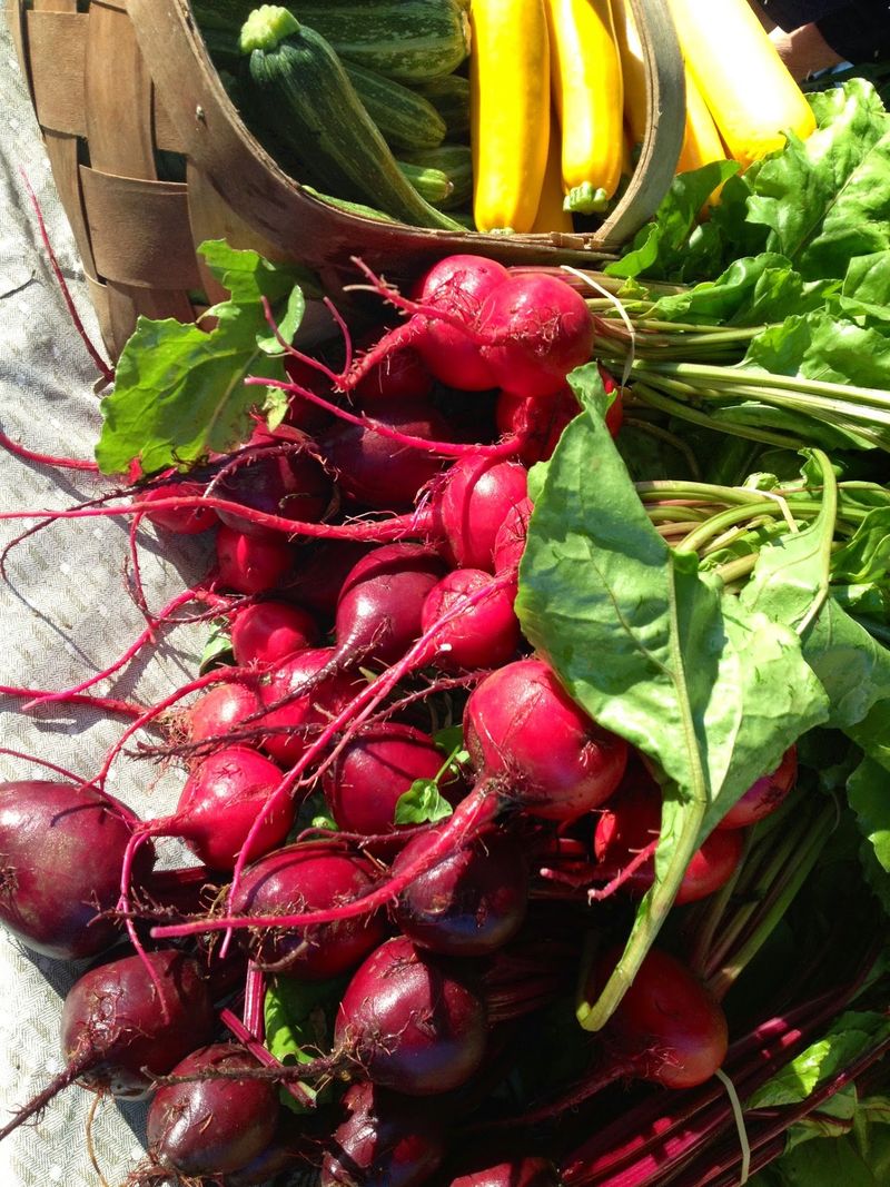 Abingdon Farmers Market
