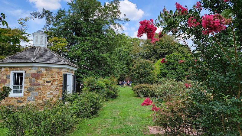 Explore The Collins-Sharp Kitchen Garden