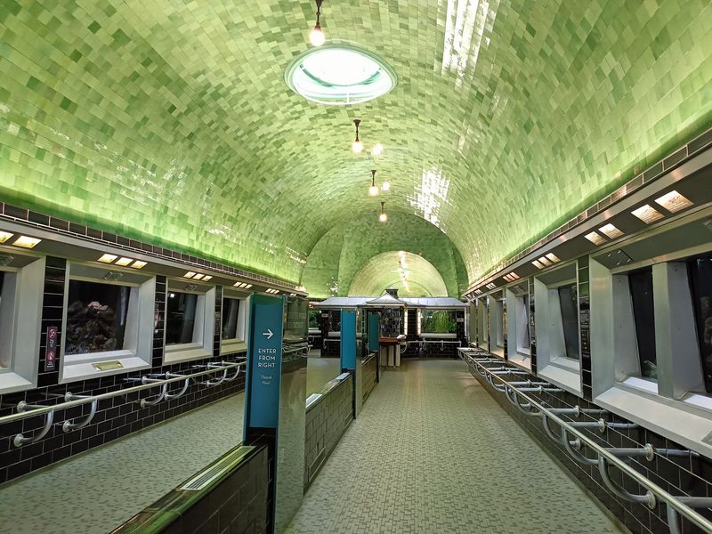 See the Historic Green-Tiled Interior That Makes This Aquarium So Memorable