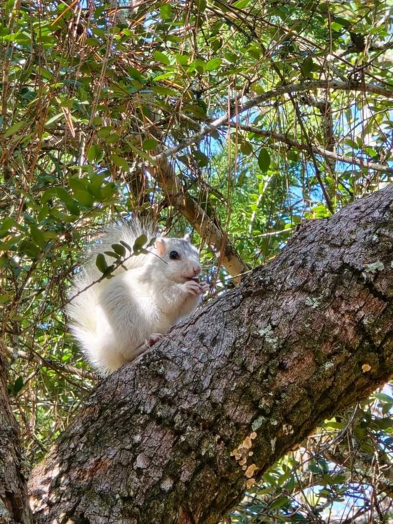 Ochlockonee River State Park cabins - Sopchoppy, Wakulla County,
