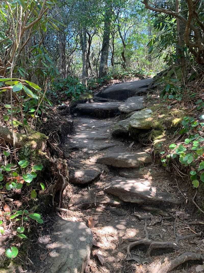 Looking Glass Rock Trail, Brevard