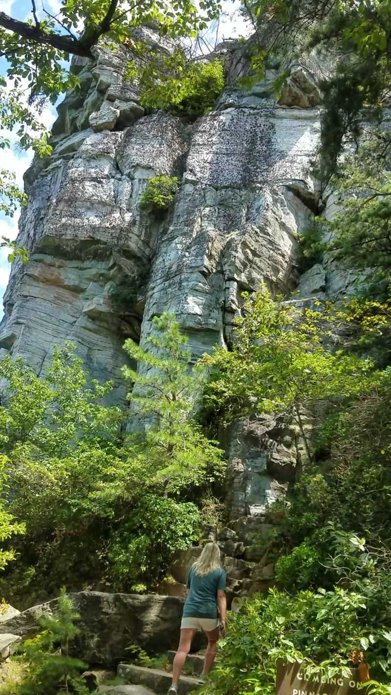 Pilot Mountain