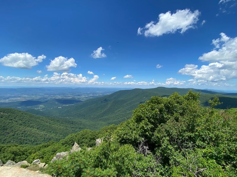 Hawksbill Mountain - Luray