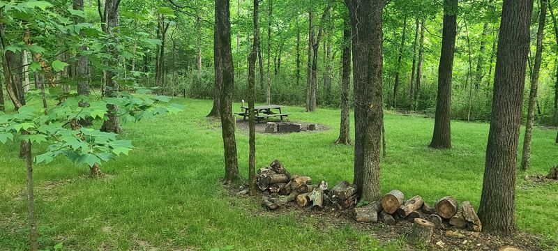 Explore the Campsites and Picnic Areas