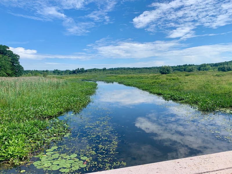 White Memorial Conservation Center, Litchfield, Litchfield County
