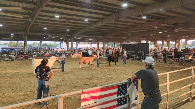 Grimes County Fair in Navasota