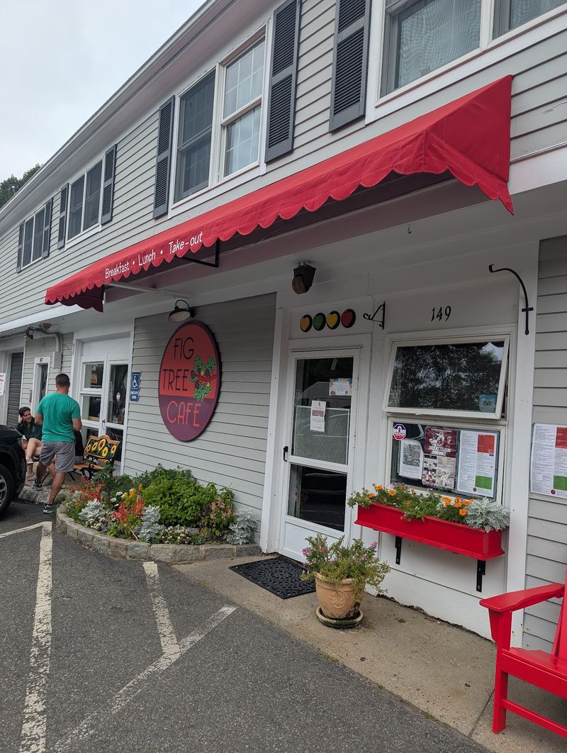 Fig Tree Cafe - Marstons Mills