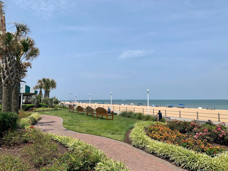 Benches, Breezes, and Front-Row People-Watching