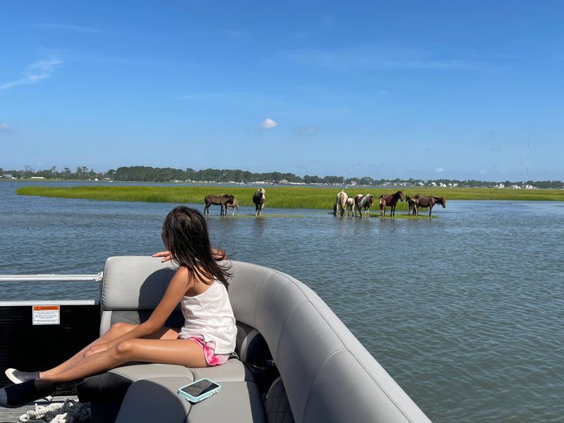 Tides Shape The Adventure
