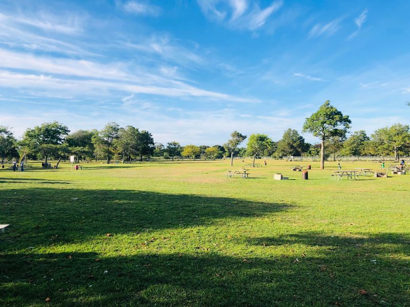 Bay Views and Shade at Heckscher State Park