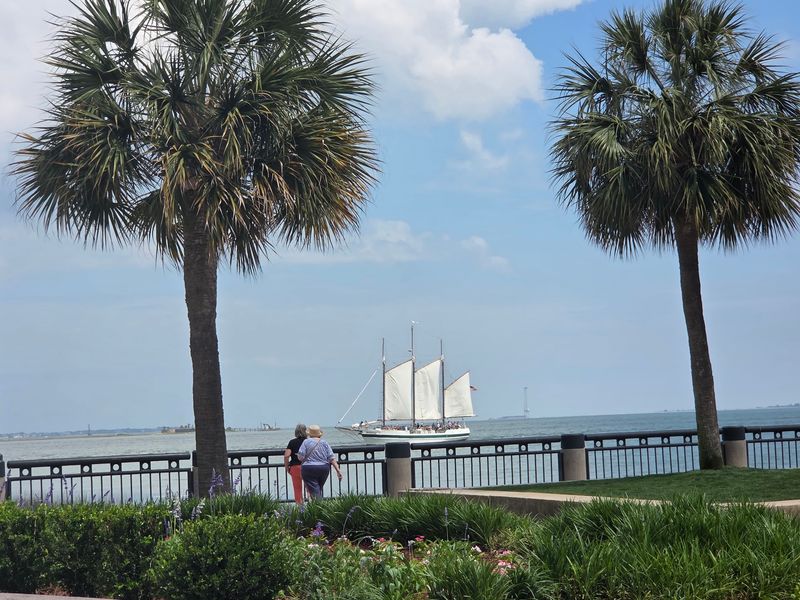 Harbor Breezes Beyond The Pineapple