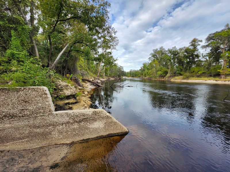 Big Oak Trail - Live Oak
