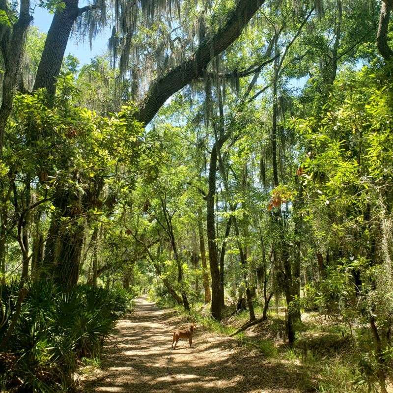 Skidaway Island State Park, Savannah, Chatham County