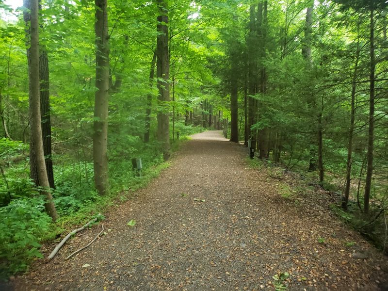 Trail Networks Through Changing Landscapes