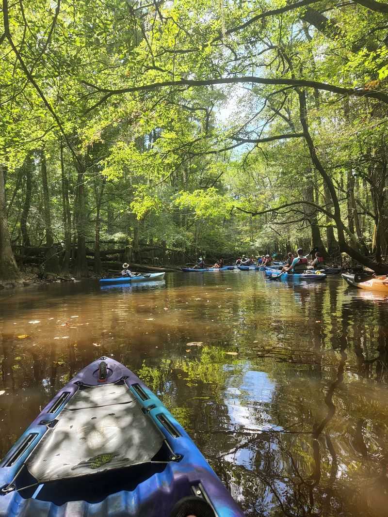 Congaree National Park