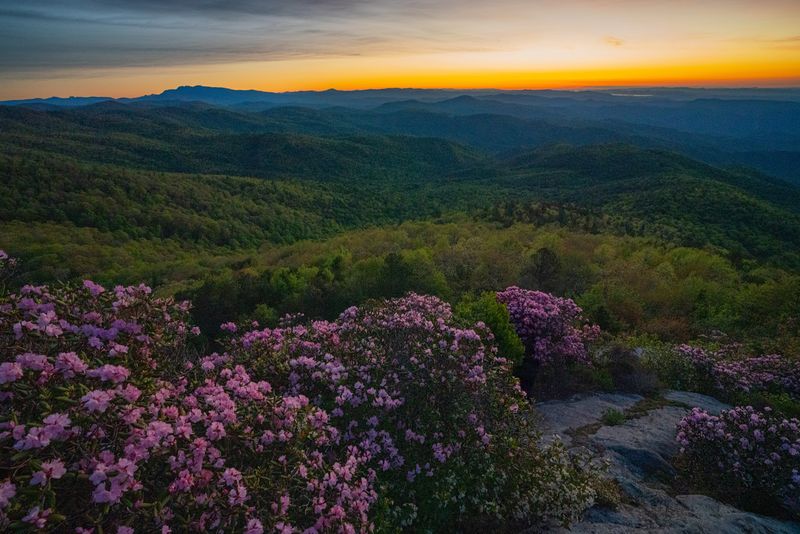 Hawksbill Mountain, Burke County