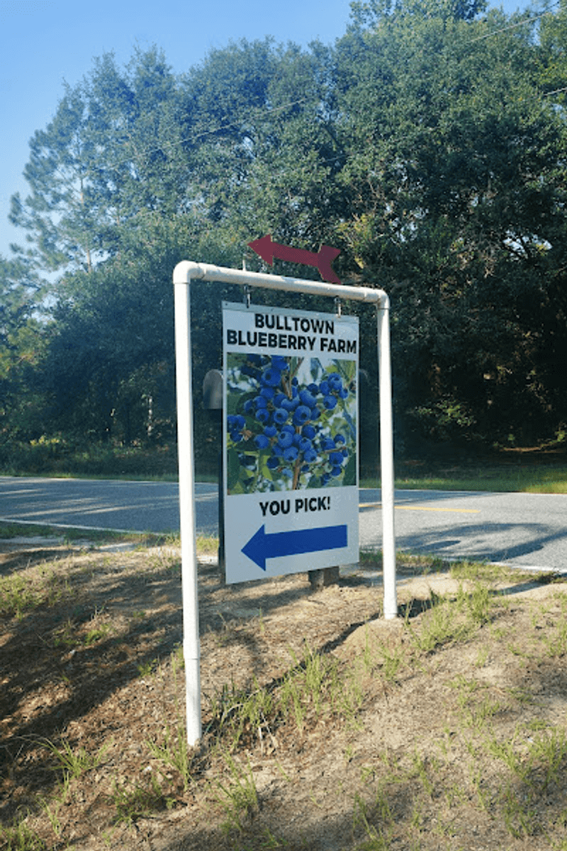 Turn the Trip from Savannah into a Fresh-Air Escape