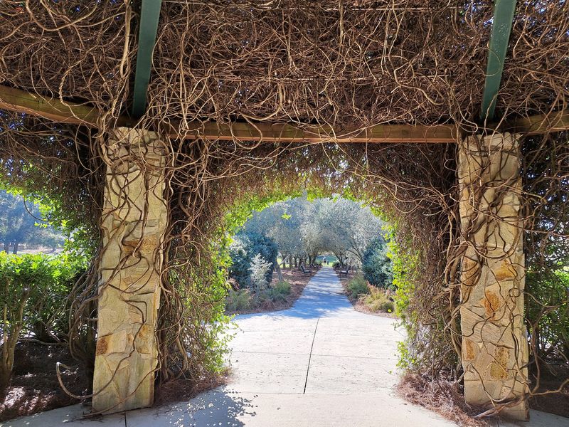 Enjoy a Peaceful Picnic or Easy Afternoon Out