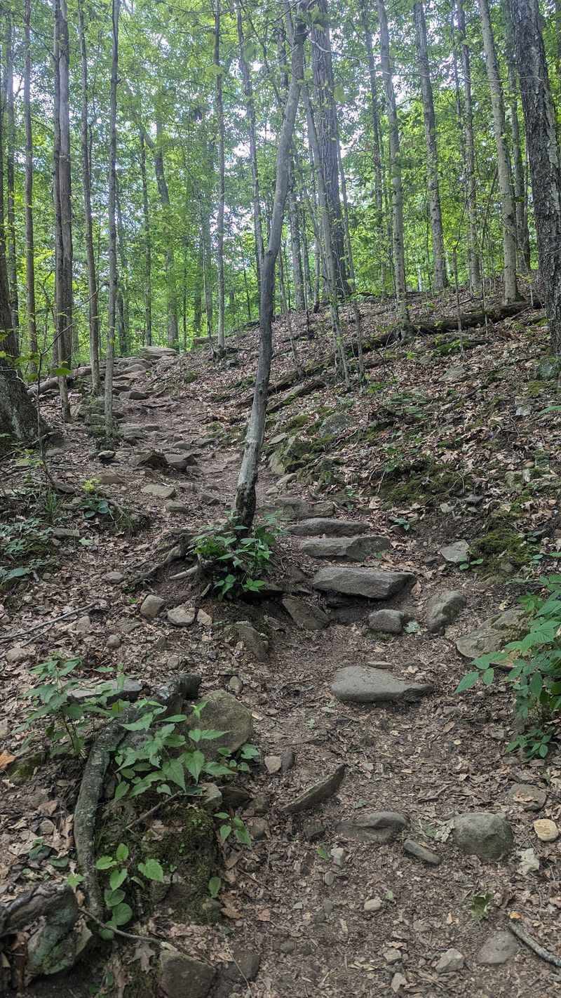 Follow the Short Trail Down to the Falls