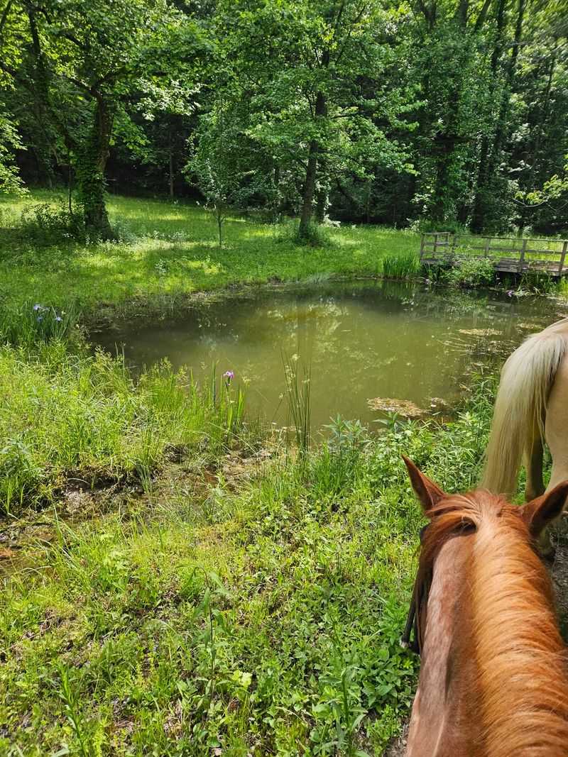 Stretch the Adventure With a Longer Ride