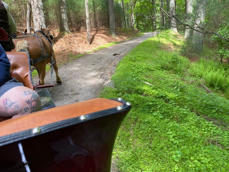 Enjoy the Estate's Mountains, Meadows, and Woodlands