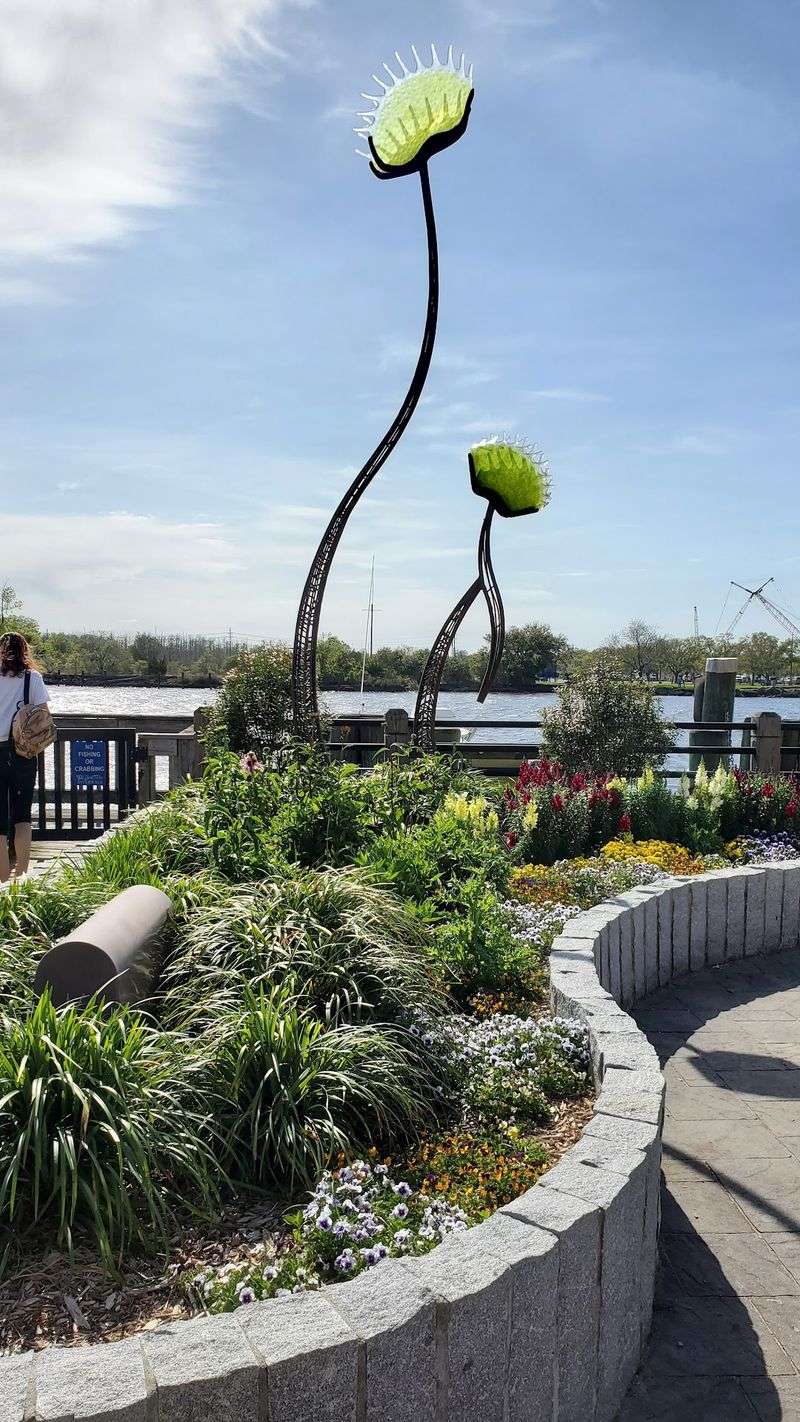 Wander Through Historic Downtown Wilmington