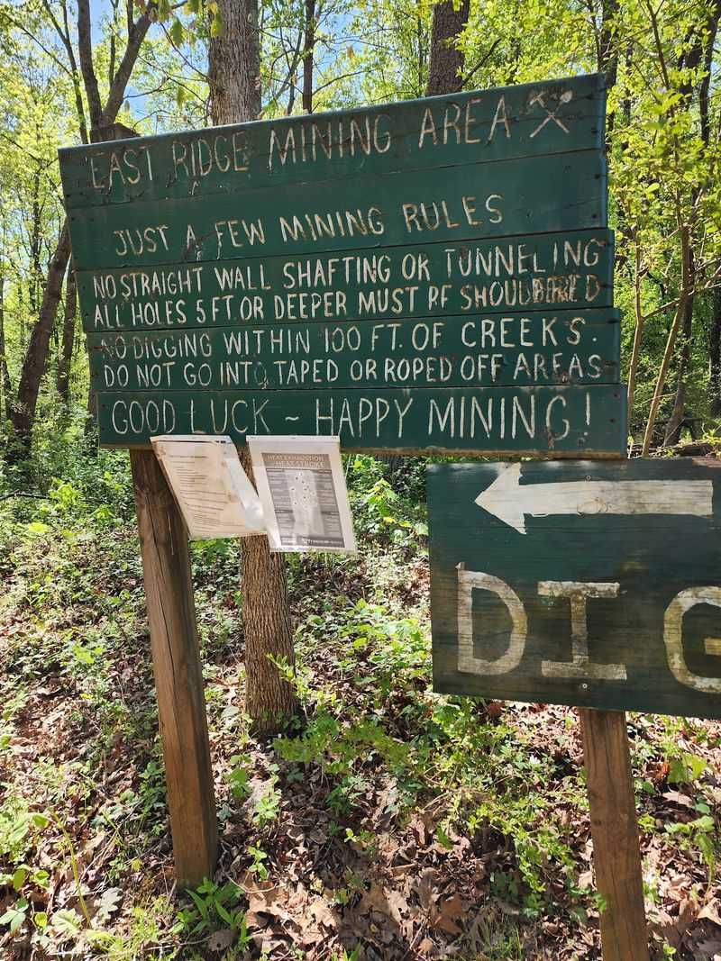 Educational Programs and Guided Experiences