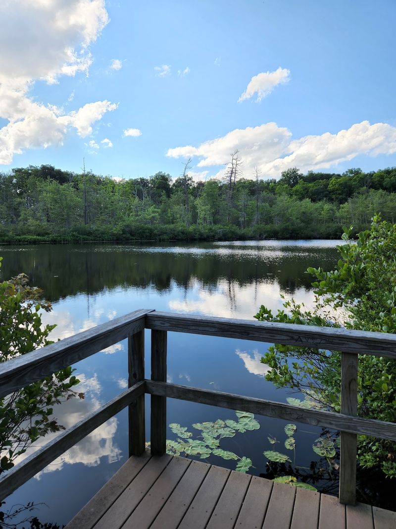 Penwood State Park, Bloomfield, Hartford County,