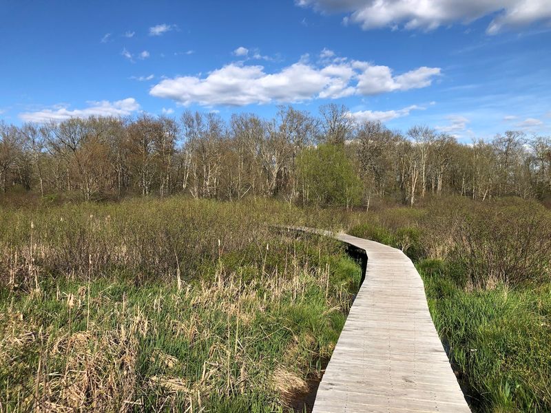 Wander White Memorial Conservation Center Trails