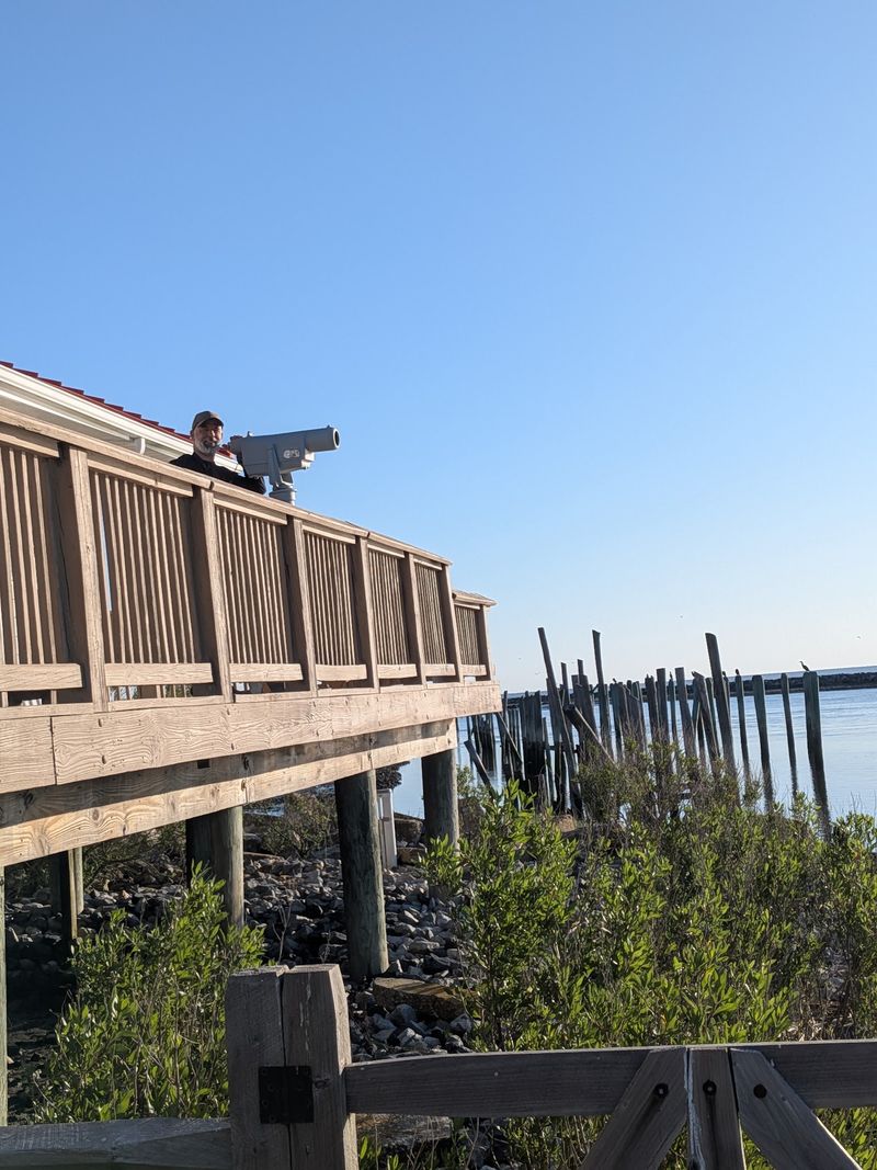DuPont Nature Center Observation Deck - Mispillion Harbor Reserve