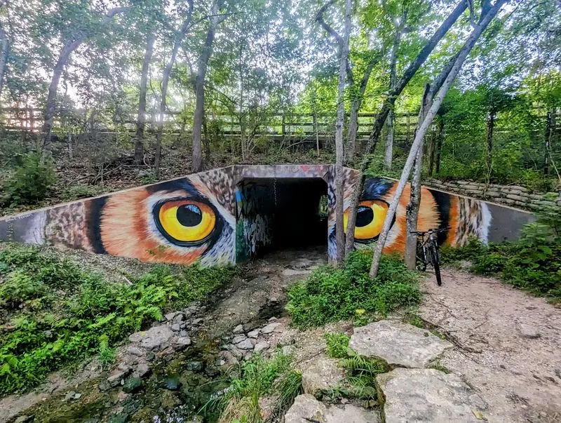 Memorial Park Mountain Biking Trails - Houston