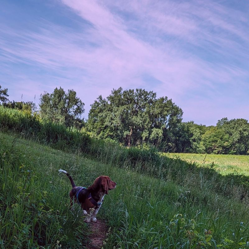 Hickory Hill Park - Iowa City