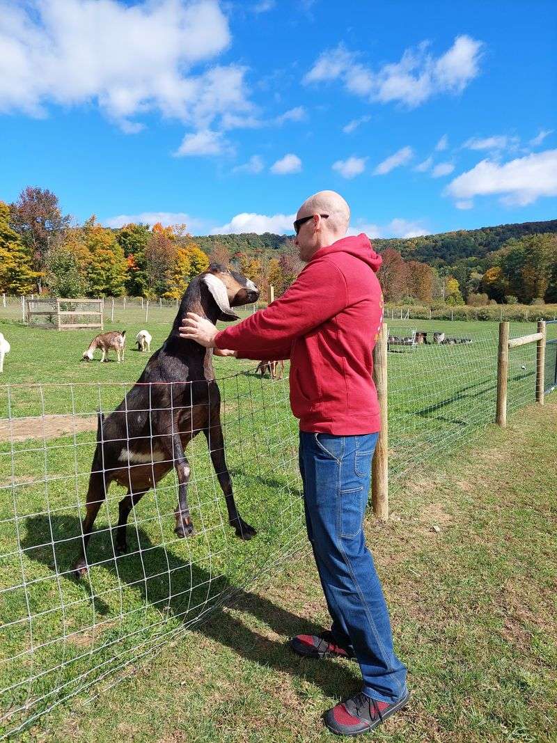 Safe Haven Farm Sanctuary