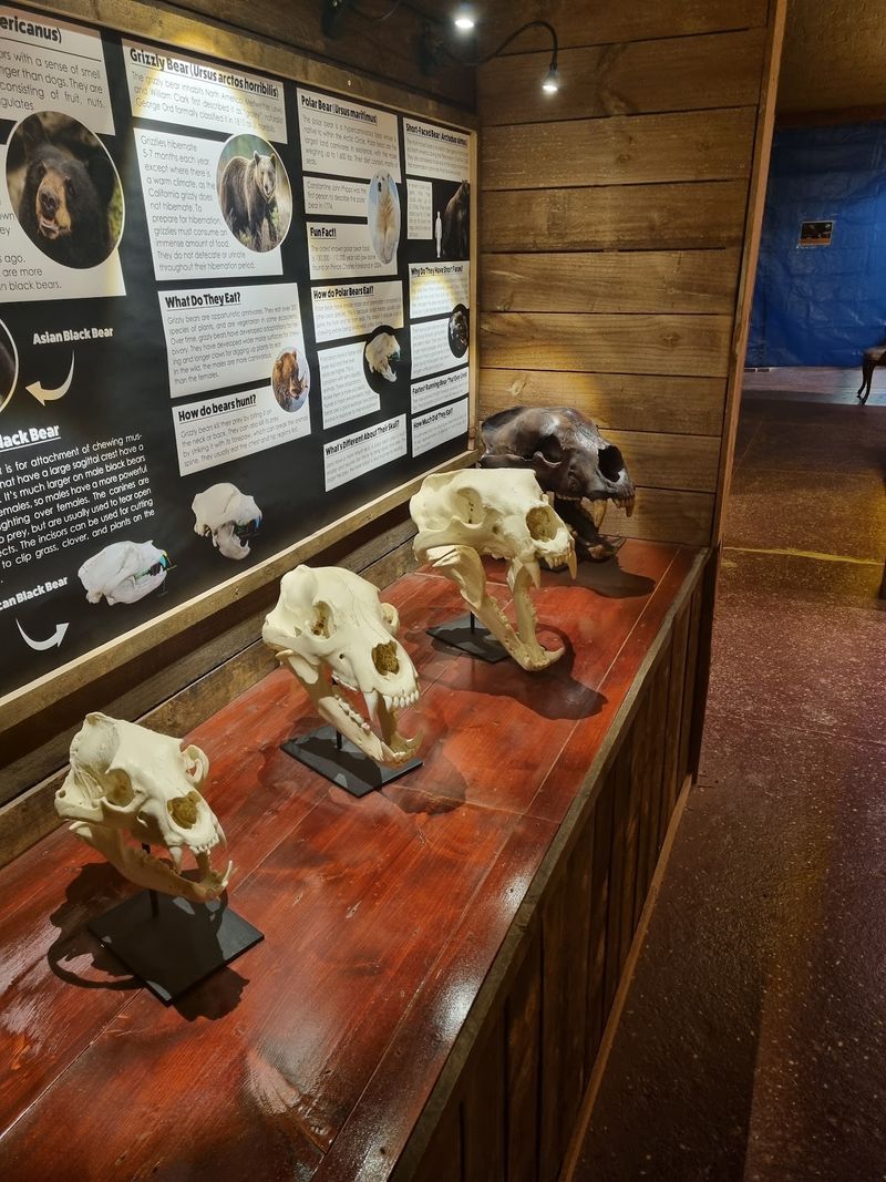 The Whiteside Museum of Natural History - Seymour