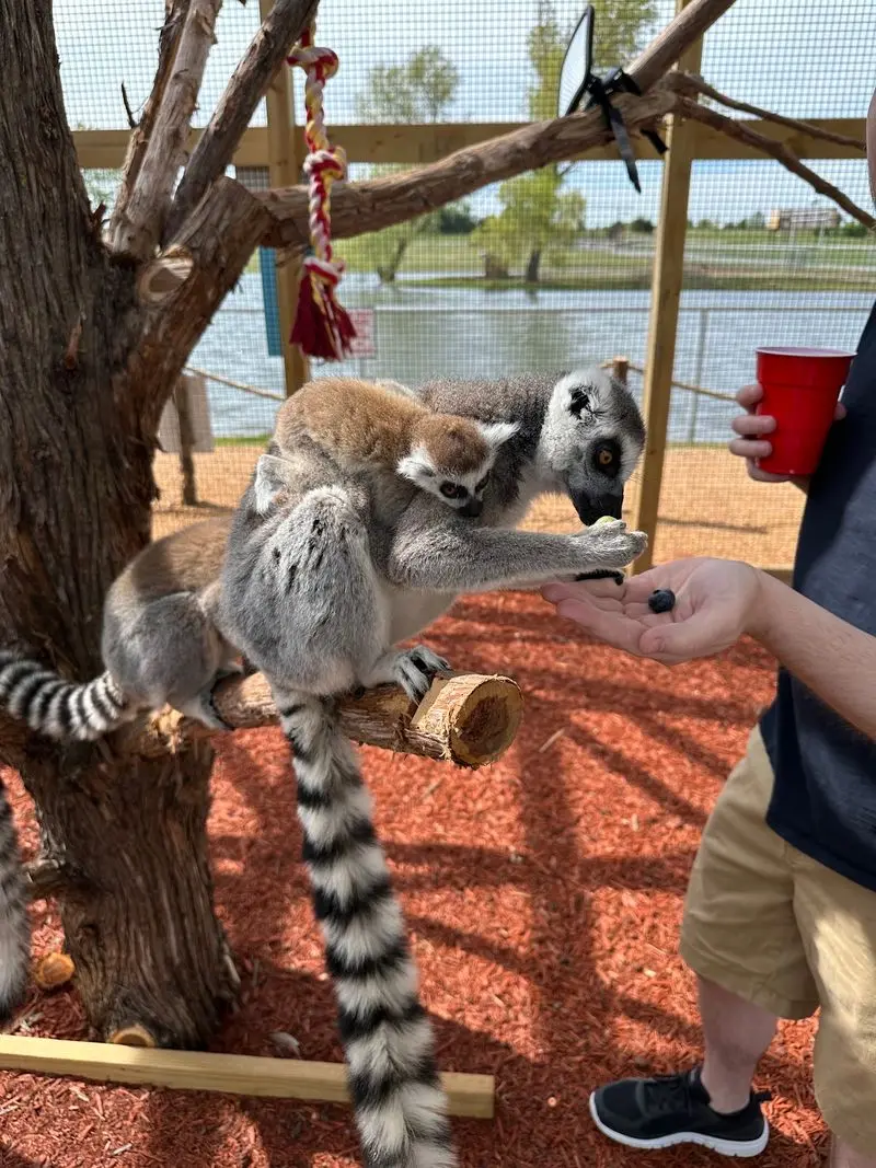 North Texas Safari Park - Bonham