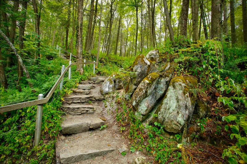Stone Steps That Lead to Adventure