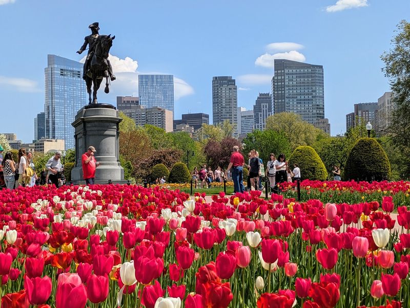 The Public Garden - Boston, Suffolk County