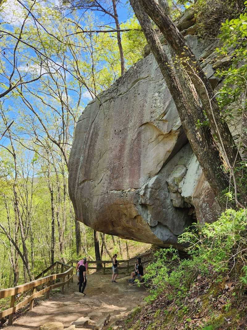 West Rim Loop Trail - Cloudland Canyon State Park