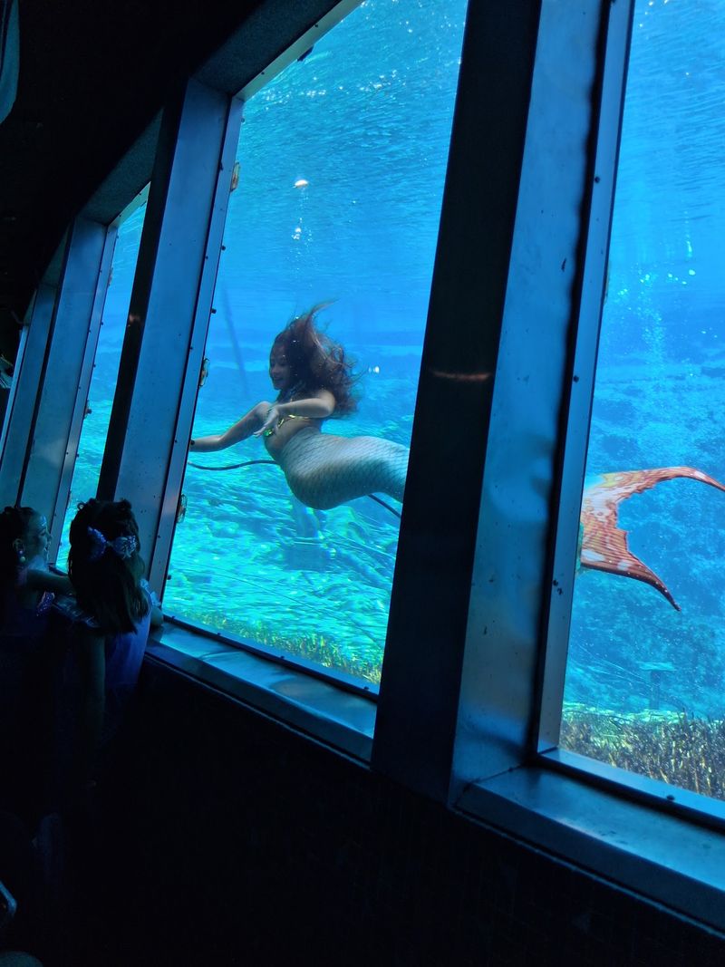 The Underwater Theater Is Unlike Anything Else