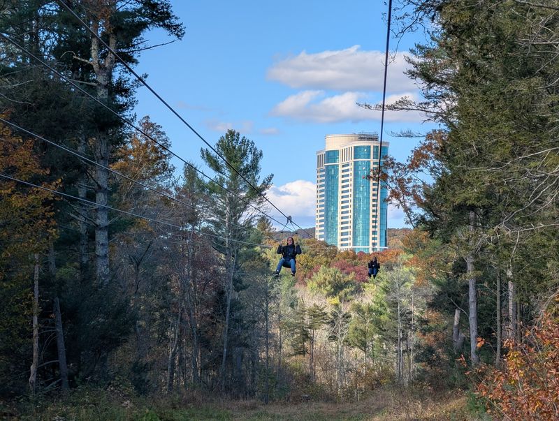 Nearly a Mile of Air, Trees, and Speed