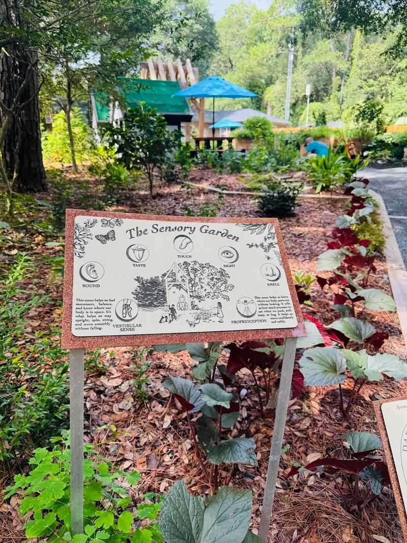 A Sensory Garden Kids Can Actually Enjoy