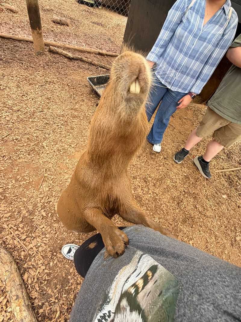 More Than Just a Photo Opportunity